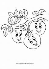 Coloring Apfel Lachende Birne Malvorlage Aepfel Fruechte Malvorlagen sketch template