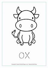 Ox Tracing sketch template