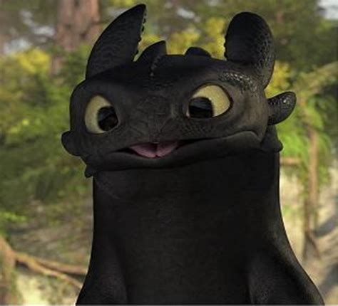 toothless  cute poll results   train  dragon