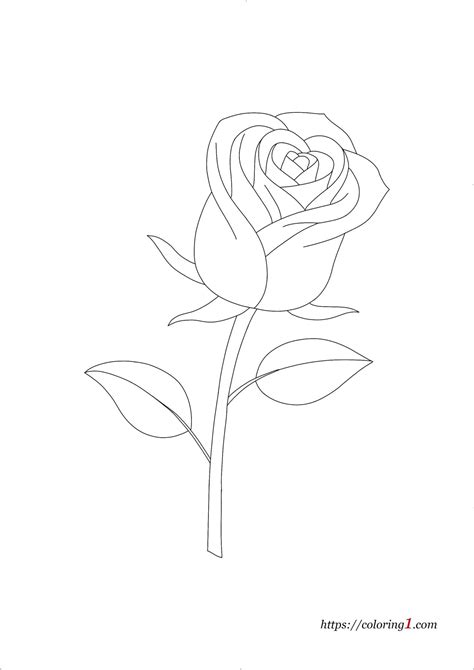 rose flower coloring pages   coloring sheets