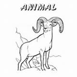 Nevada Book Coloring Printable State Animal Christine Hull Copyright Themed Pinwheel Windy Sheep Celebrate sketch template