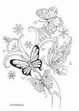 Coloring Pages Butterfly Fairy Mandala Kleurplaat Vlinder Volwassenen Voor Butterflies sketch template