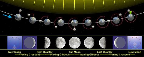 lunar phase wikipedia