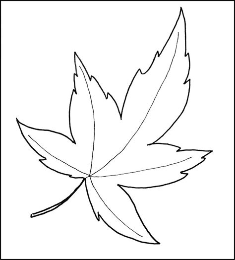 leaf template printable leaf templates  premium templates