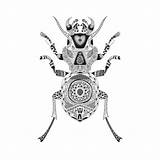 Beetle Patterned sketch template