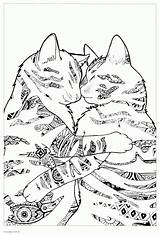 Coloring Pages Adult Animal Adults Animals Print Printable Colouring Look Other sketch template