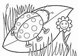 Coloring Spring Pages Ladybug Kids sketch template