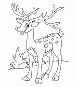 Deer Coloring Pages Drawing Tail Happy Template Cute Templates Buck Antler Printable Mermaid Color Animal Getcolorings Kids Vector Getdrawings Print sketch template