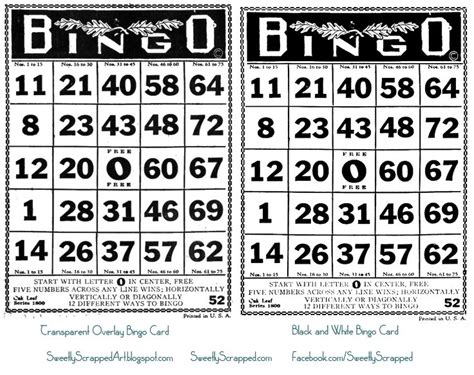 black  white printable bingo cards  numbers