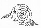 Coloring Rose Single Coloringpagebook Flowers Print Advertisement sketch template