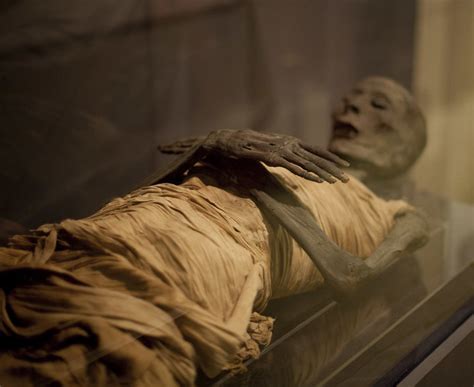 Ancient Egypts Mummification Process Explained