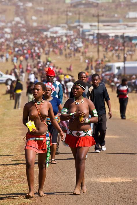 Zulu Girls In Traditional Dress Having Delivered Reeds To King