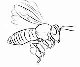 Bee Coloring Pages Printable Template Bees Kids Outline Simple Templates Drawing Colouring Book Color Insect Charmy Print Board Getdrawings Shape sketch template