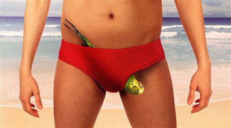 dads don t do budgie smugglers the dad website