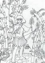 Coloring Pages Bamboo Tree Getdrawings Printable Getcolorings sketch template