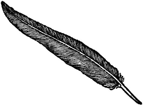 black feather clipart