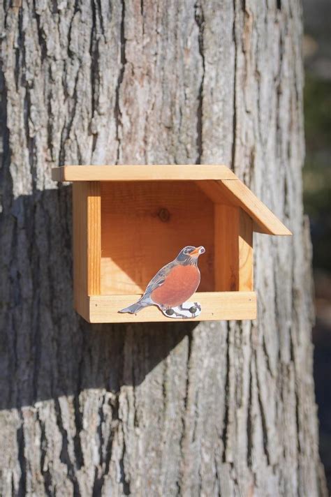 american robin cedar bird house bird house bird houses bird houses diy