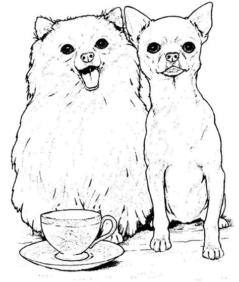coloring page dog coloring pages  find creative coloring pages