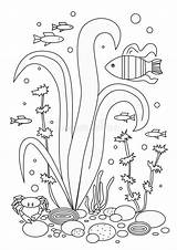 Seaweed sketch template