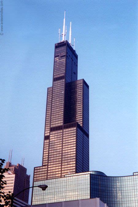 sears tower chicago chicago buildings sears tower building