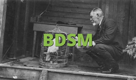 Bdsm What Does Bdsm Mean