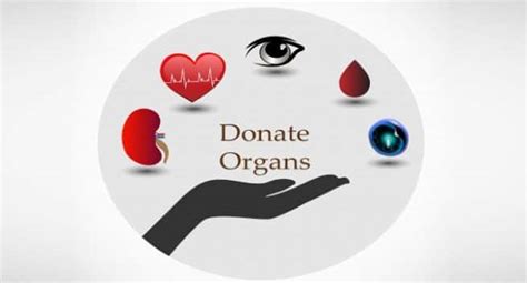 Organ Donation Day 5 Common Religious Myths You Must Stop