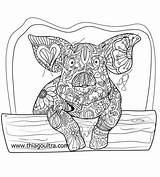 Pig Adults Zentangles Mandelas sketch template