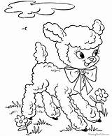 Easter Coloring Pages Lamb Sheets Cute Printable Print Lambs Drawing Color Baby Clip Line Sheep Activity Fluffy Colouring Kids Bluebonkers sketch template