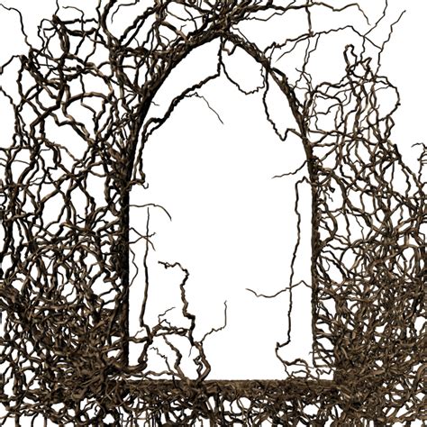 branch frame   brokenwingdstock  deviantart digital art supplies