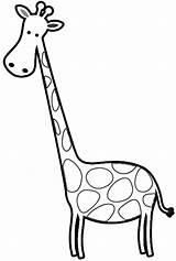 Giraffe Outline Clipart Cartoon Cliparts Coloring Pages Library sketch template