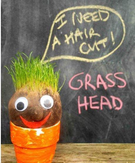 grass head craft activities  kids activities  kids projects