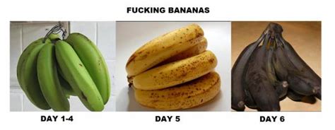 Fucking Bananas Funny Pictures Quotes Pics Photos Images Videos