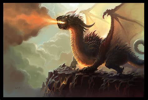 fire dragon  gypcg  deviantart