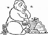 Bear Honey Eating Coloring Pages Animal Animals Printable Jar Pot Bears Print Color Gif Printablecoloringpages sketch template