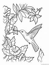 Coloring4free Hummingbird Coloring Pages Nectar Eating Flowers Related Posts sketch template