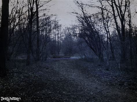 dark forest deathroman photo  fanpop