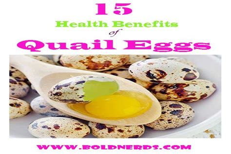 Are Quail Eggs Good For You 15 Benefits Of Eating Quail Eggs Bold