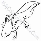 Axolotl Draw Coloring Pages Click sketch template