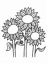 Coloring Clip Pages Flower Sunflower Print Getdrawings Color Getcolorings Printable sketch template