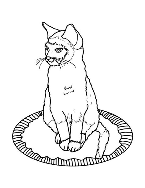 printable siamese cat coloring page    https