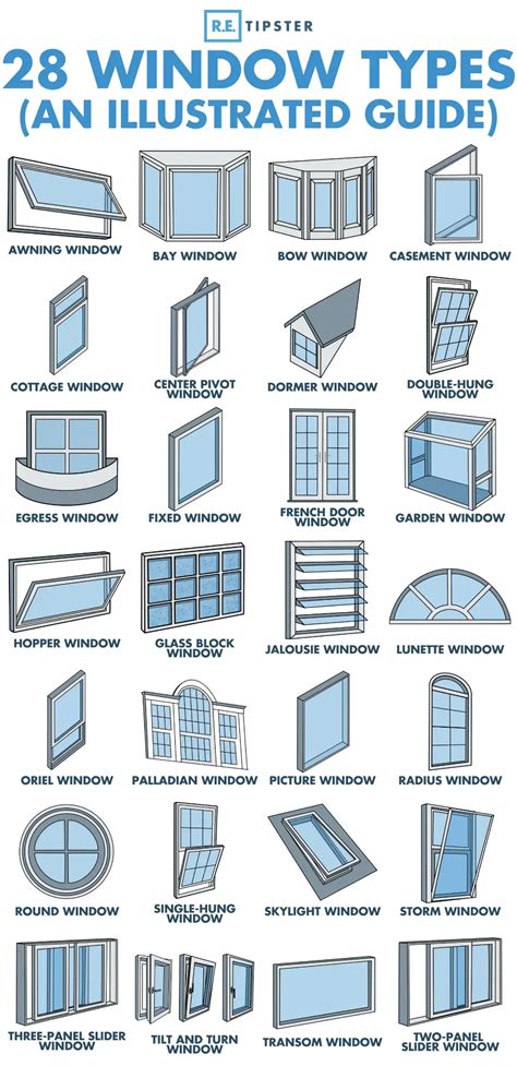 simple illustrated guide  window types  styles daily infographic