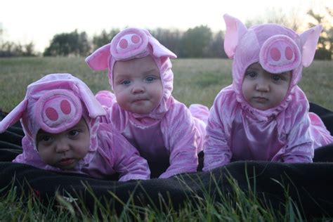 preschool   pigs costume google search pig costumes