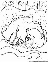 Bear Brown Coloring Pages Getcolorings sketch template