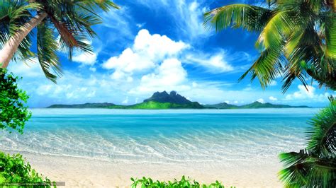 scaricare gli sfondi palma spiaggia mare paradiso sfondi gratis