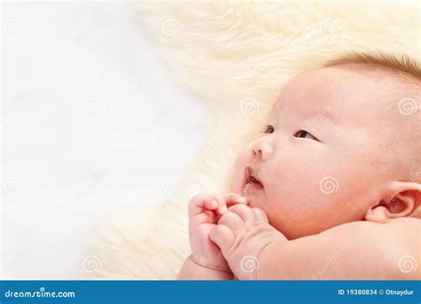 praying baby stock images image