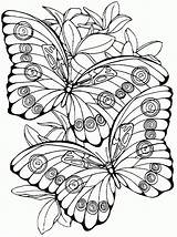 Mariposas Adultos sketch template