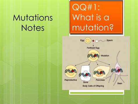 ppt mutations notes powerpoint presentation free