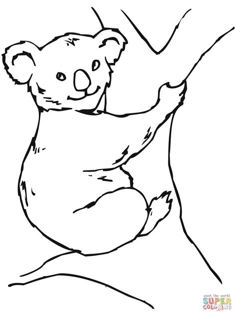 desenho de urso coala  colorir desenhos  colorir  imprimir