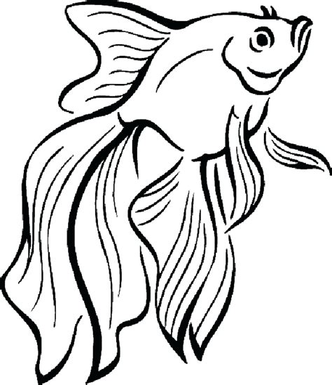 tropical fish coloring pages    tropical fish