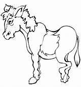 Donkey Animal Esel Coloringhome sketch template